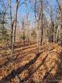 Lots 4 & 5 South Buck Creek Road - Photo 2