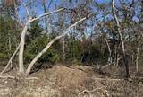 11.8 Acres Whitetail Way - Photo 10