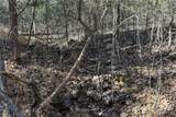 11.8 Acres Whitetail Way - Photo 17