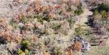 11.8 Acres Whitetail Way - Photo 4