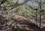 11.8 Acres Whitetail Way - Photo 7