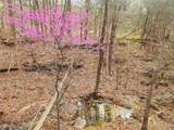 Lot 5 State Aa Road - Photo 21