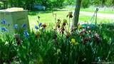 4458 N Cove Road - Photo 11