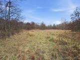53 Acres Buckridge Road - Photo 10