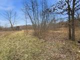53 Acres Buckridge Road - Photo 14