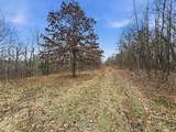 53 Acres Buckridge Road - Photo 15