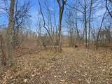 53 Acres Buckridge Road - Photo 16