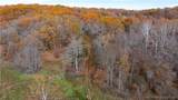 53 Acres Buckridge Road - Photo 19