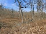 53 Acres Buckridge Road - Photo 34