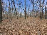 53 Acres Buckridge Road - Photo 35
