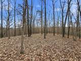 53 Acres Buckridge Road - Photo 36