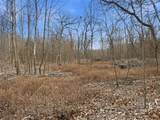 53 Acres Buckridge Road - Photo 43