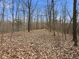 53 Acres Buckridge Road - Photo 46