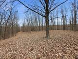 53 Acres Buckridge Road - Photo 48