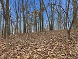53 Acres Buckridge Road - Photo 49