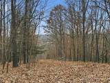 53 Acres Buckridge Road - Photo 50
