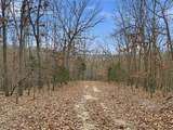 53 Acres Buckridge Road - Photo 51