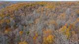 53 Acres Buckridge Road - Photo 53