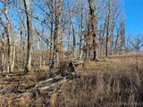 Lots 1,3,5 Dogwood Lake Drive - Photo 10