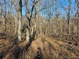 Lots 1,3,5 Dogwood Lake Drive - Photo 11