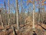 Lots 1,3,5 Dogwood Lake Drive - Photo 4