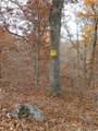 5.1 Acre Lot on Concrete Road - Photo 16
