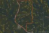 62.90 TBD Slaughter Road - Photo 39