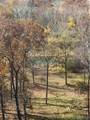 1378 Full Gallop Lane - Photo 66
