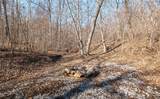 TBD 46.53ac Highway J - Photo 17