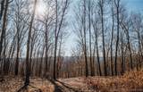 TBD 46.53ac Highway J - Photo 29