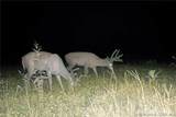 TBD 46.53ac Highway J - Photo 60