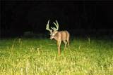 TBD 46.53ac Highway J - Photo 61