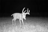 TBD 46.53ac Highway J - Photo 63