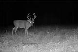 TBD 46.53ac Highway J - Photo 70