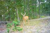 TBD 46.53ac Highway J - Photo 71