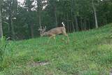 TBD 46.53ac Highway J - Photo 73
