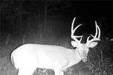 TBD 46.53ac Highway J - Photo 74