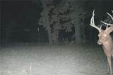 TBD 46.53ac Highway J - Photo 75
