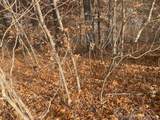 Lot 74 Eagle Bay Drive - Photo 4