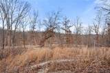 95 Acre Lot on Concrete Road - Photo 11