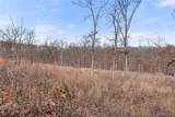 95 Acre Lot on Concrete Road - Photo 13
