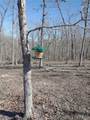 95 Acre Lot on Concrete Road - Photo 18