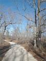 95 Acre Lot on Concrete Road - Photo 19