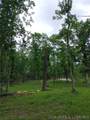 95 Acre Lot on Concrete Road - Photo 20