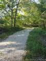 95 Acre Lot on Concrete Road - Photo 21