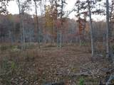 95 Acre Lot on Concrete Road - Photo 22