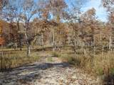 95 Acre Lot on Concrete Road - Photo 23