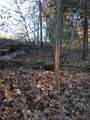 95 Acre Lot on Concrete Road - Photo 24
