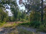 95 Acre Lot on Concrete Road - Photo 26