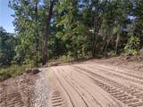 95 Acre Lot on Concrete Road - Photo 29